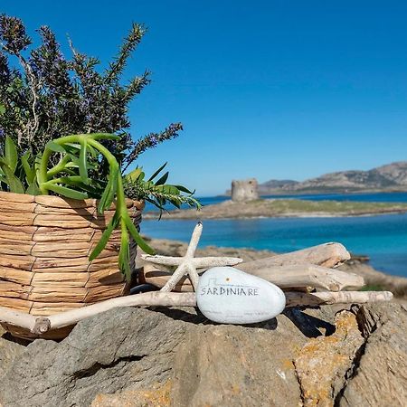 Sardinia Re - Villa Pelosa 斯廷蒂诺 外观 照片