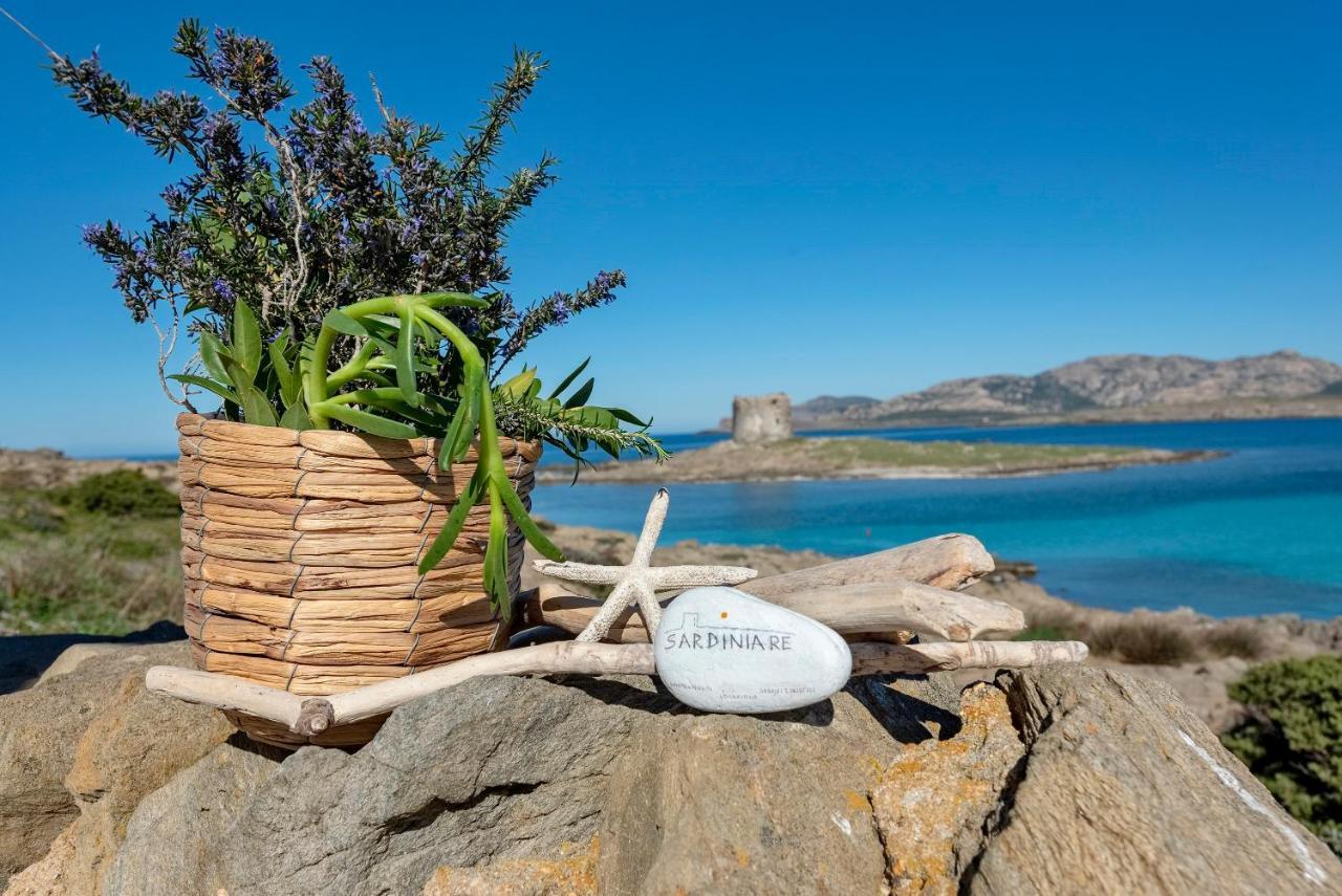 Sardinia Re - Villa Pelosa 斯廷蒂诺 外观 照片