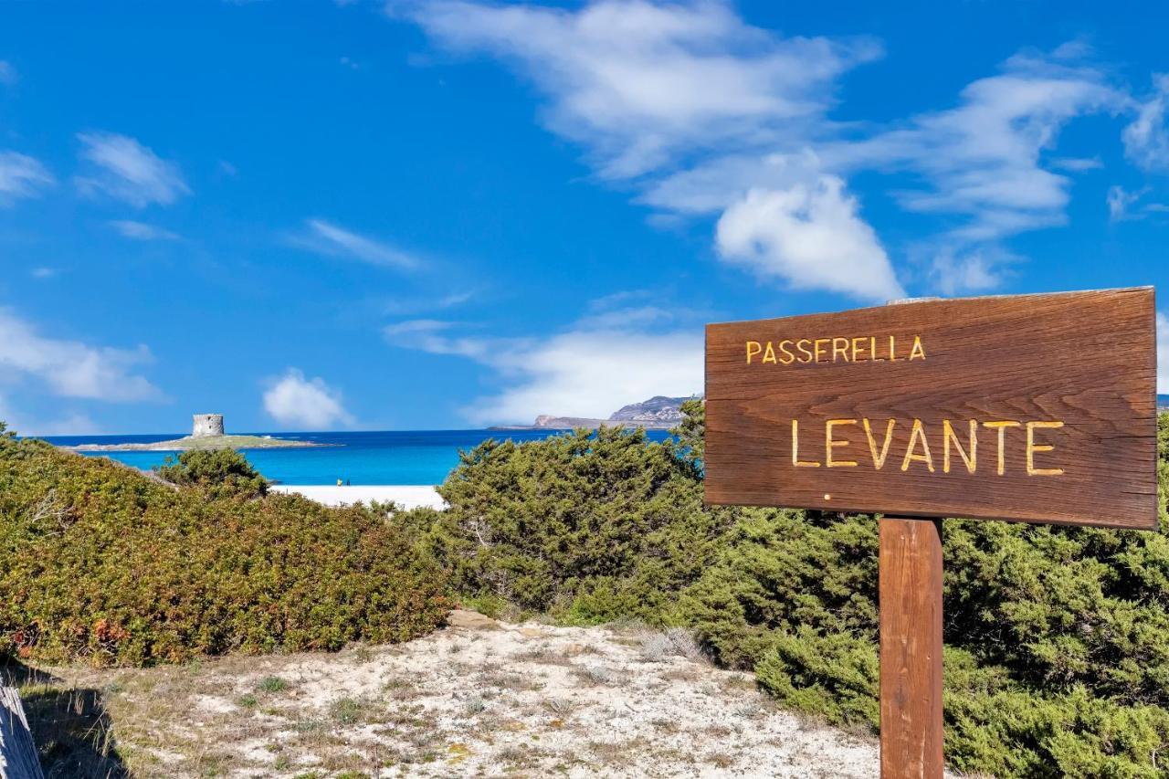Sardinia Re - Villa Pelosa 斯廷蒂诺 外观 照片