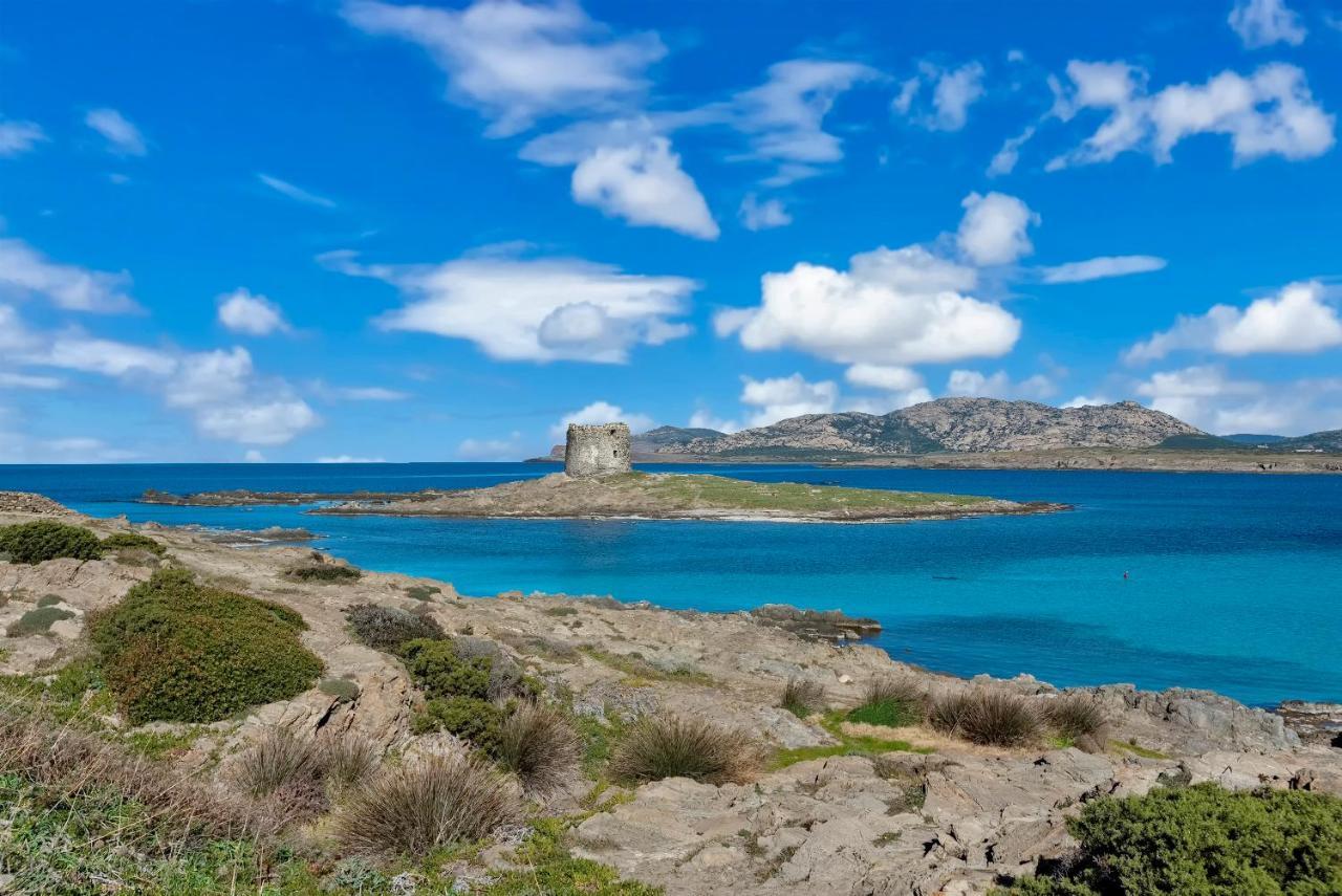 Sardinia Re - Villa Pelosa 斯廷蒂诺 外观 照片