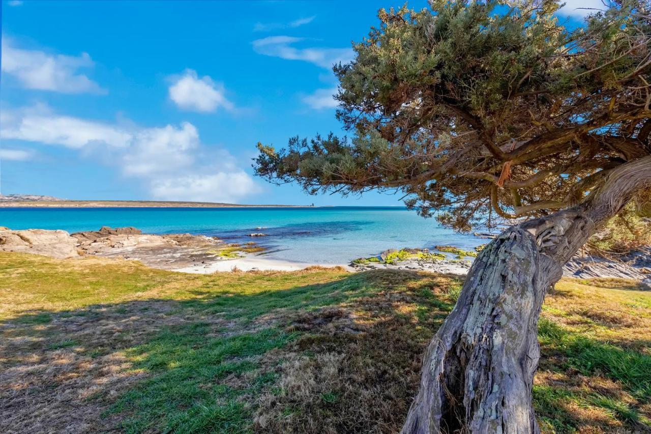 Sardinia Re - Villa Pelosa 斯廷蒂诺 外观 照片