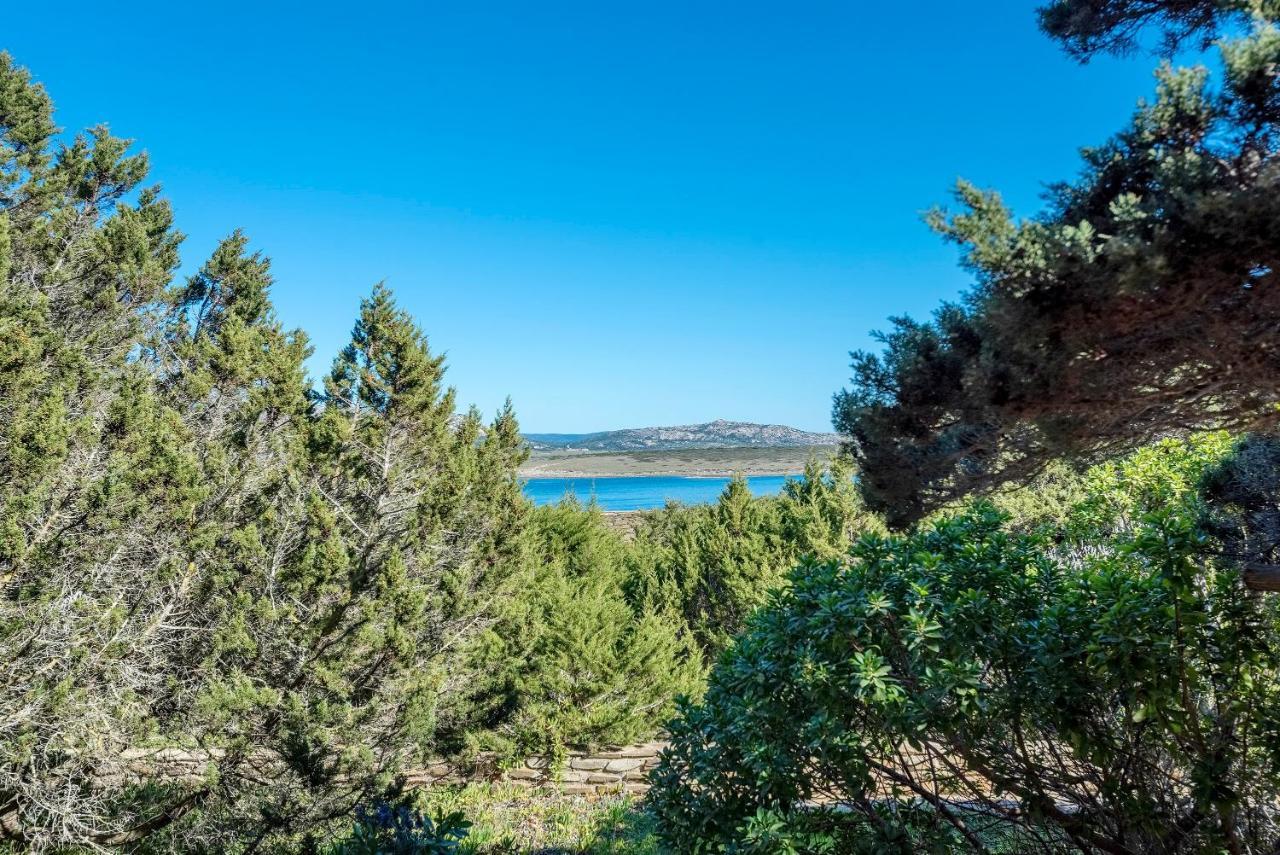 Sardinia Re - Villa Pelosa 斯廷蒂诺 外观 照片